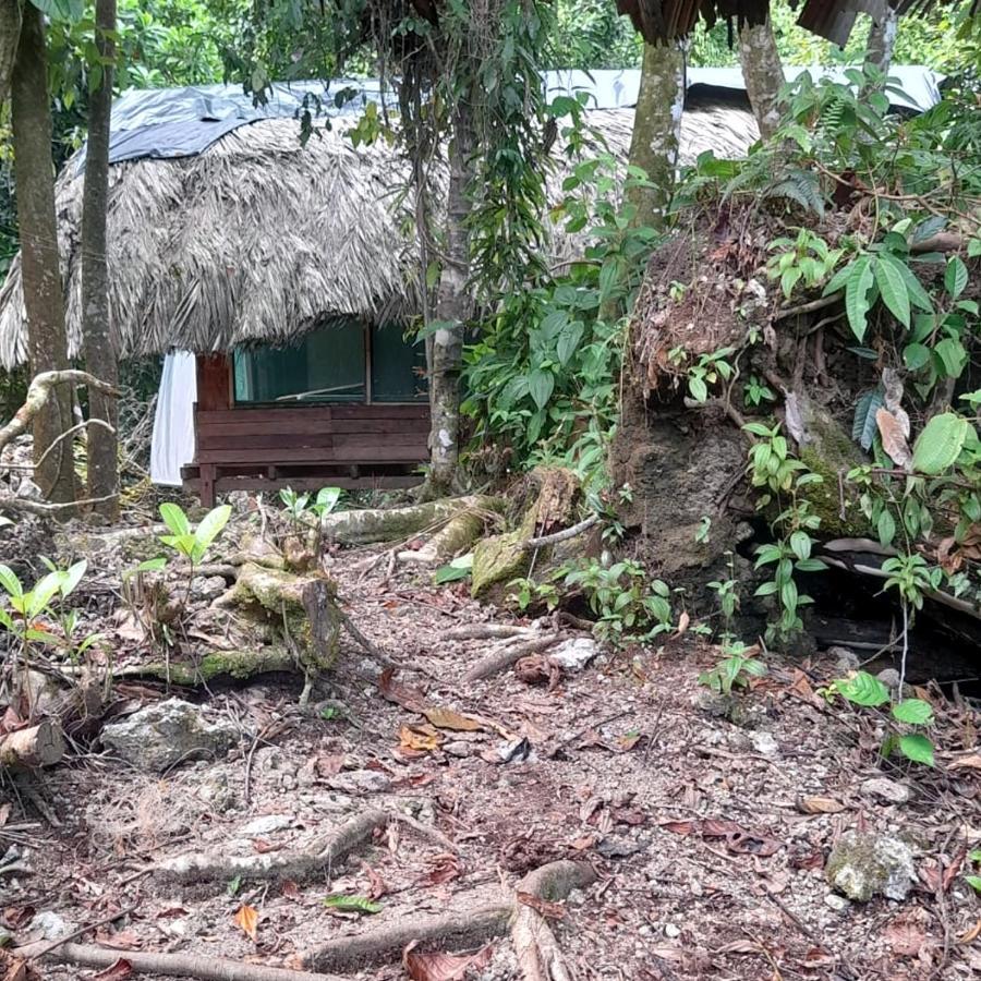 Reserva Natural Selva Mojada Nuquí Exterior photo